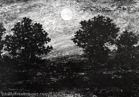 Moonlight
Artist: Blakelock, Ralph Albert, 1847-1919, painter.
Medium: Oil on panel.
Smithsonian Control Number: IAP 01080018