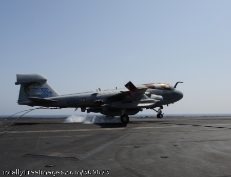 101005-N-6427M-150
ARABIAN SEA (Oct. 5, 2010) An EA-6B Prowler assigned to the Zappers of Electronic Attack Squadron (VAQ) 130, catches an arresting wire during the morning recovery cycle aboard the aircraft carrier USS Harry S. Truman (CVN 75). VAQ-130 is deployed as part of the Harry S. Truman Carrier Strike Group supporting maritime security operations and theater security cooperation efforts in the U.S. 5th Fleet area of responsibility. (U.S. Navy photo by Mass Communication Specialist Seaman Ryan McLearnon/Released) 