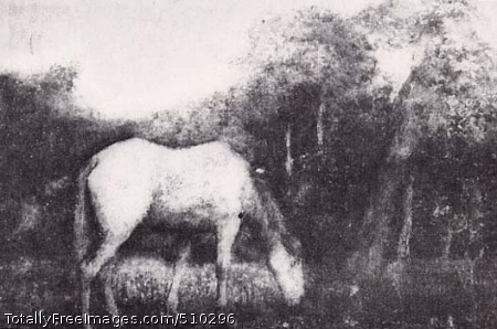 The Grazing Horse
Artist: Ryder, Albert Pinkham, 1847-1917, painter.
Medium: Oil on canvas.
Smithsonian Control Number: IAP 35680325